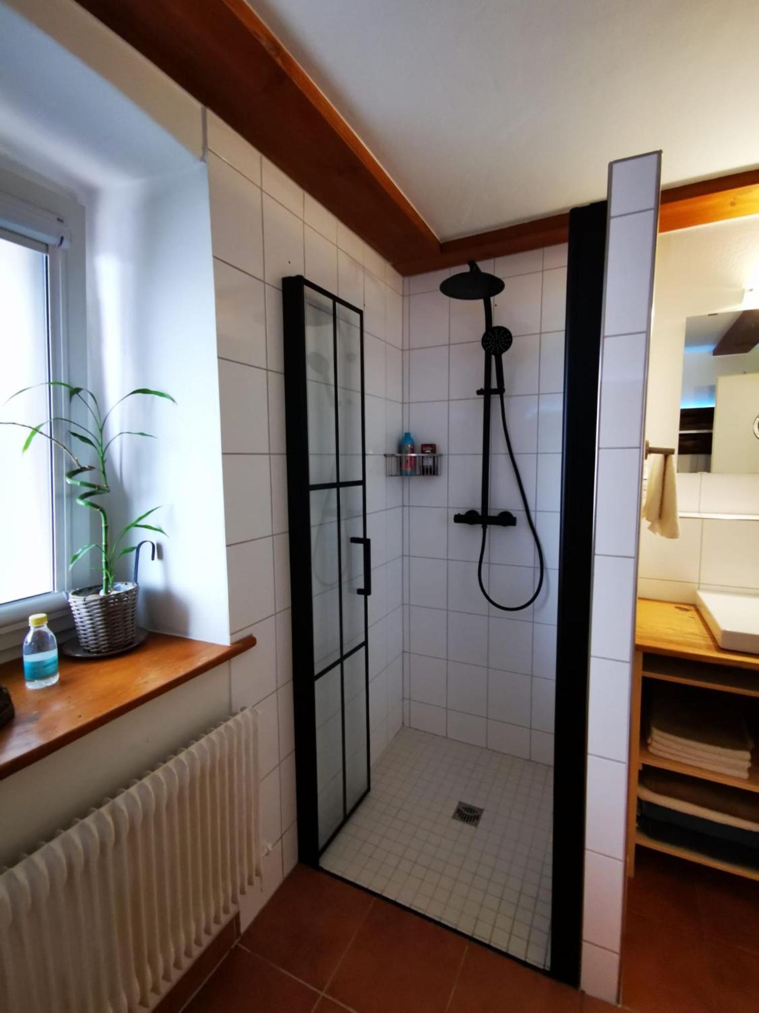 Apartment Alpenpanorama Haegelberg Steinen (Lorrach)